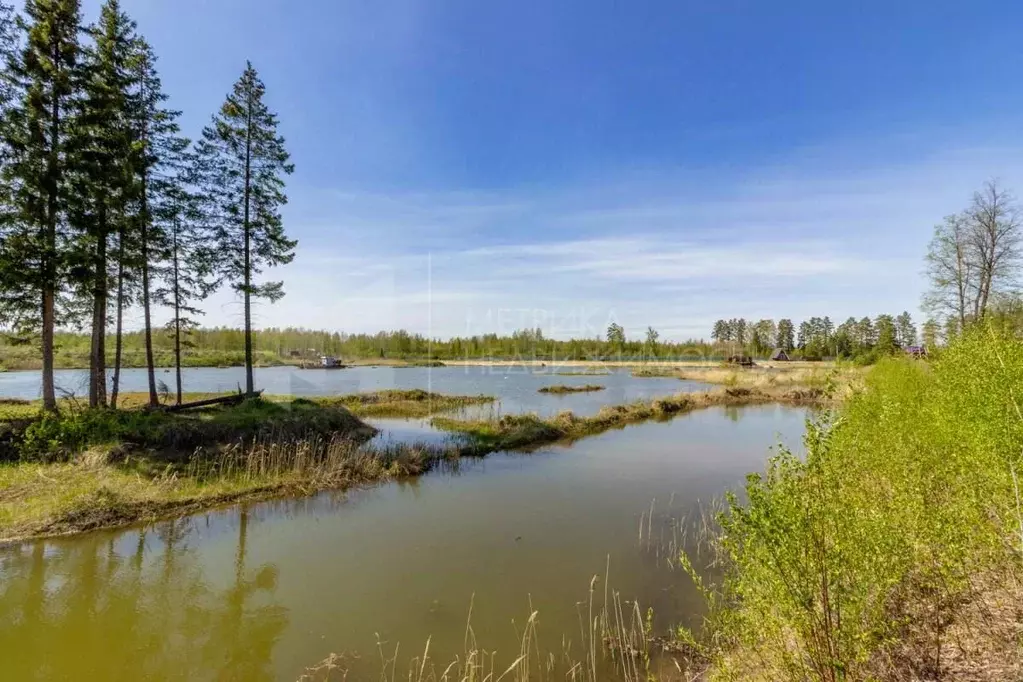 Участок в Тюменская область, Нижнетавдинский район, Сундукуль СНТ  ... - Фото 0