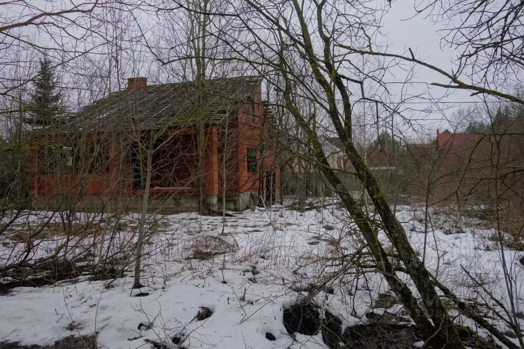 Участок в Московская область, Дмитровский муниципальный округ, ... - Фото 2