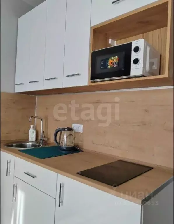 Студия Новосибирская область, Новосибирск ул. Ленина, 85 (20.0 м) - Фото 2