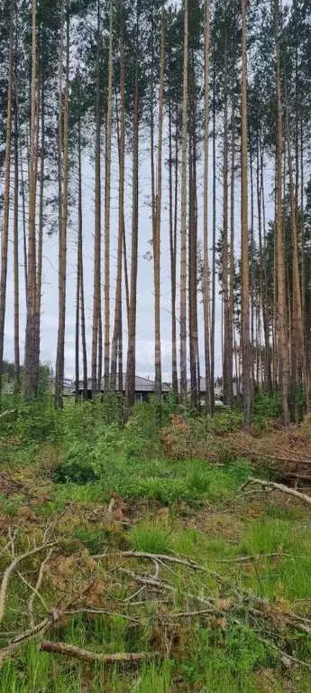 Участок в Свердловская область, Сысерть ул. Ильинская, 2 (9.4 сот.) - Фото 1