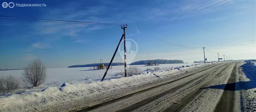Участок в Рязанский муниципальный округ, деревня Сергеевка (30 м) - Фото 2