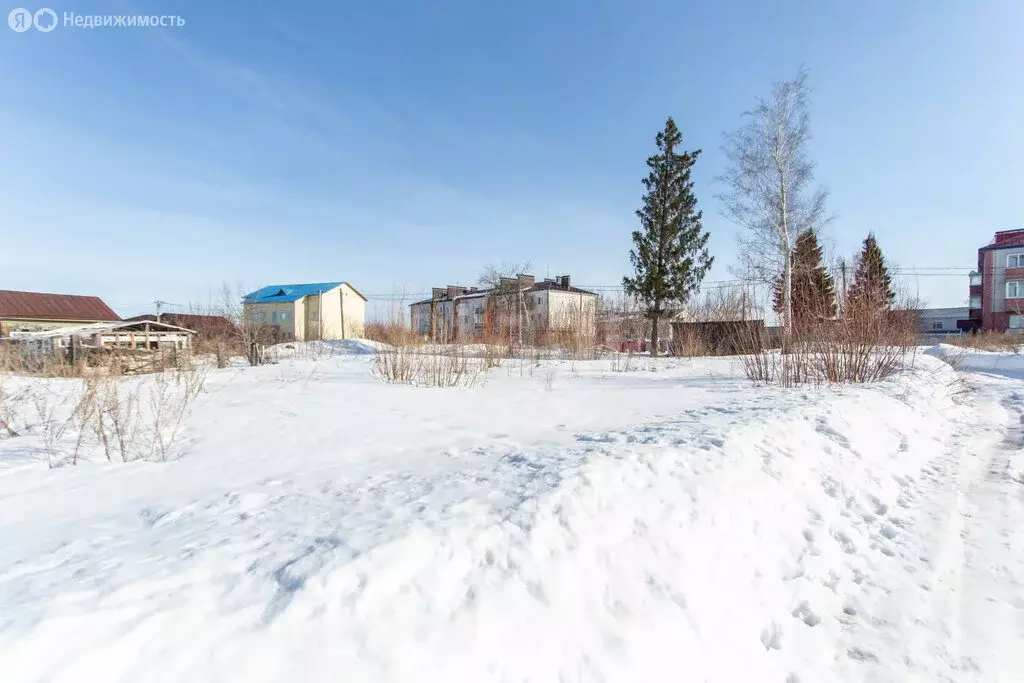 Участок в Тюменская область, Тобольский муниципальный округ, ... - Фото 1