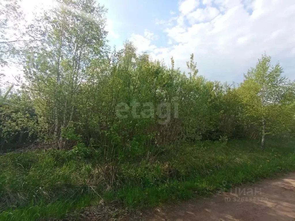 Участок в Московская область, Дмитровский муниципальный округ, д. ... - Фото 1