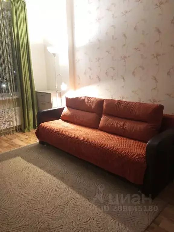 1-к кв. Псковская область, Псковский район, Завеличенская волость, д. ... - Фото 2