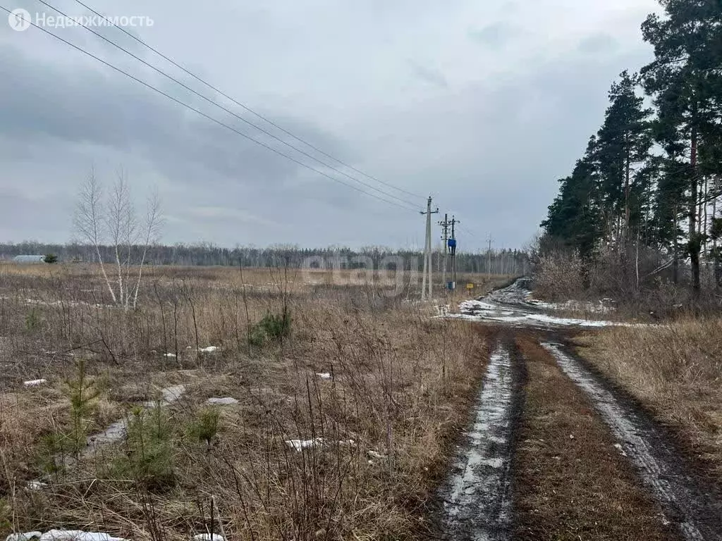 Участок в Воронежская область, село Семилуки (100 м), Купить земельный  участок в Семилуках, ID объекта - 20007072282