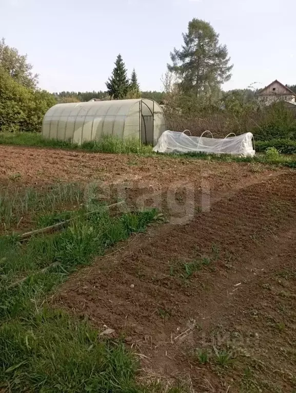 Дом в Пермский край, Нытва д. Абрамовка, ул. Жуковского, 1 (45 м) - Фото 2