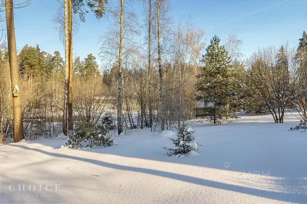 Участок в Московская область, Одинцовский городской округ, д. Бородки, ... - Фото 0