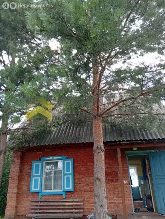 Дом в Омск, территория СОСН Колос-2 (30 м) - Фото 1