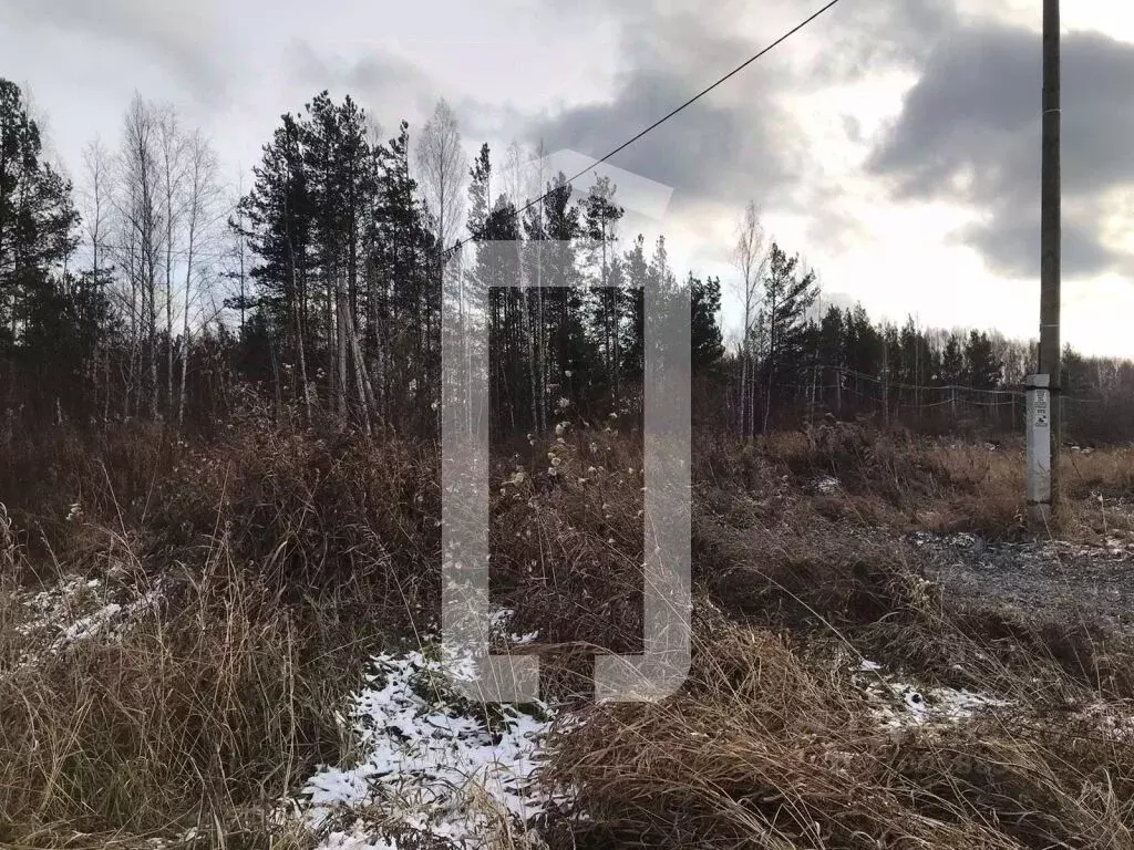 Участок в Свердловская область, Полевской городской округ, с. ... - Фото 1