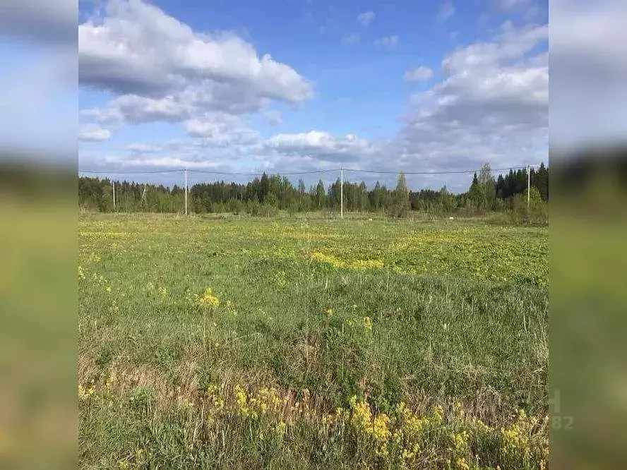 Участок в Московская область, Можайский муниципальный округ, д. ... - Фото 1