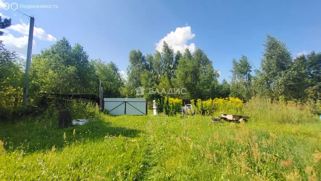 Участок в Суздальский район, муниципальное образование Селецкое, СНТ ... - Фото 0