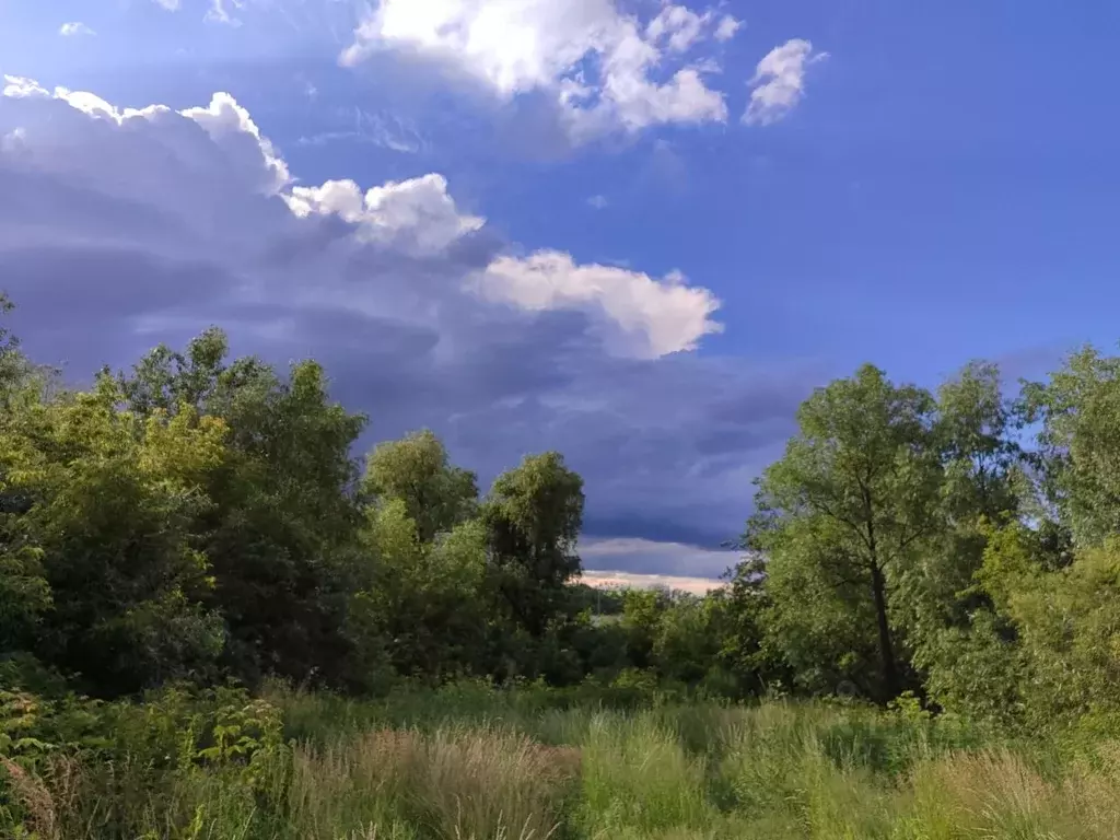 Участок в Курганская область, Курган Пригородный мкр, Юбилейная ул. ... - Фото 0