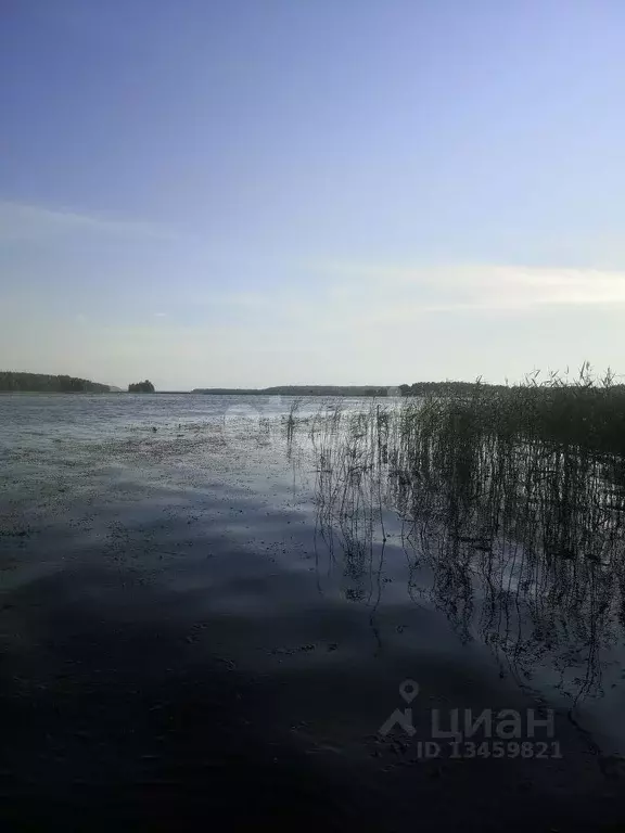 Рог измайловский новоаннинский. Поселок Дубовский Марий Эл. Дубовский Марий Эл. Станция Дубовский Марий.