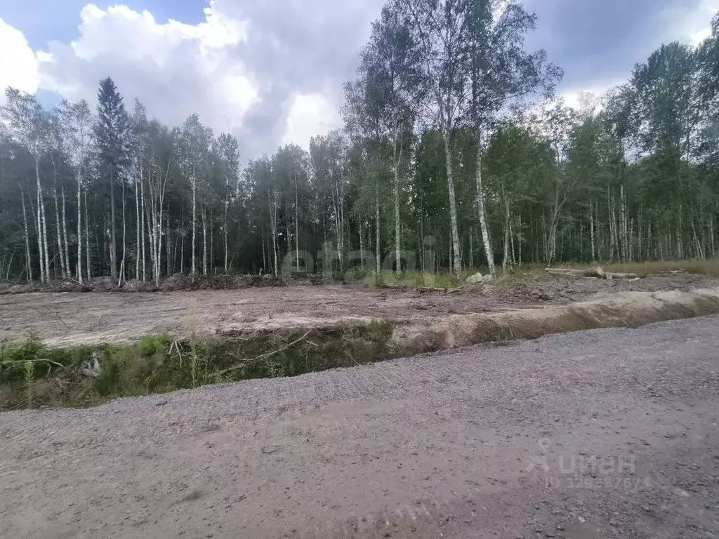 Участок в Ленинградская область, Всеволожский район, Токсовское ... - Фото 2