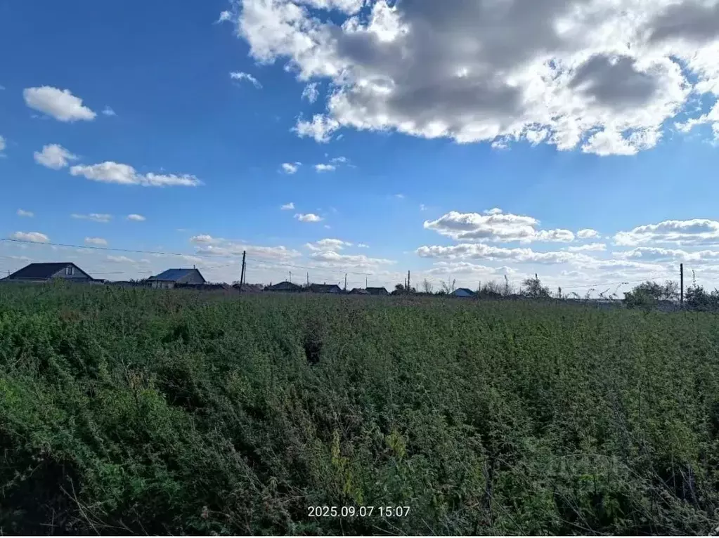 Участок в Курганская область, Щучанский муниципальный округ, с. ... - Фото 1