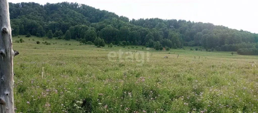 Участок в Алтай, Горно-Алтайск Светлая ул. (10.0 сот.) - Фото 1