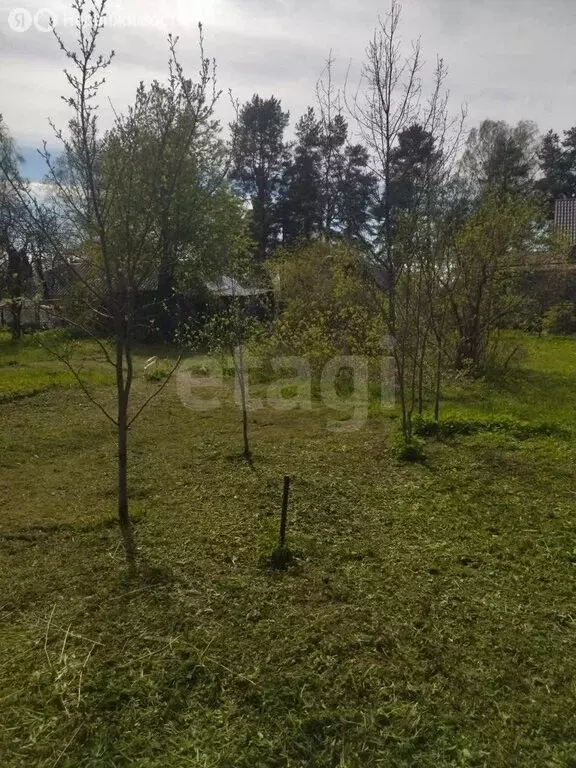 Участок в Всеволожск, 2-я линия (8.74 м) - Фото 2