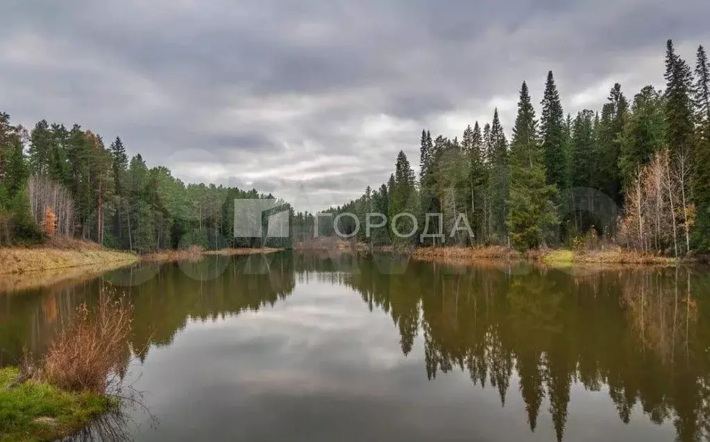 Дом 17 м на участке 5,5 сот. - Фото 1