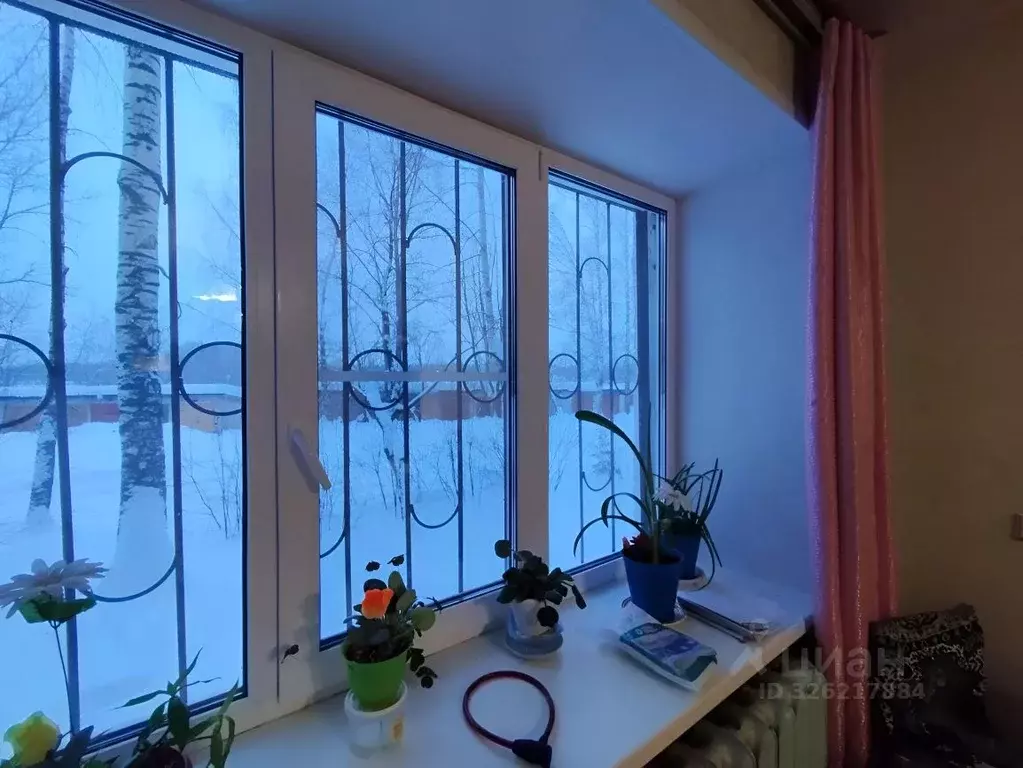 2-к кв. Пермский край, Краснокамск ул. Чапаева, 63 (41.3 м) - Фото 2