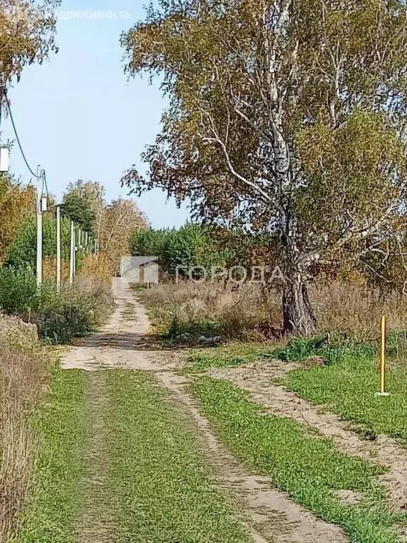 Участок в Алтайский край, городской округ Барнаул, посёлок Ягодное, ... - Фото 1