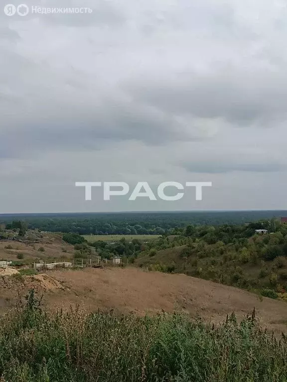 Участок в село Берёзово, Студенческая улица, 10 (10 м) - Фото 2