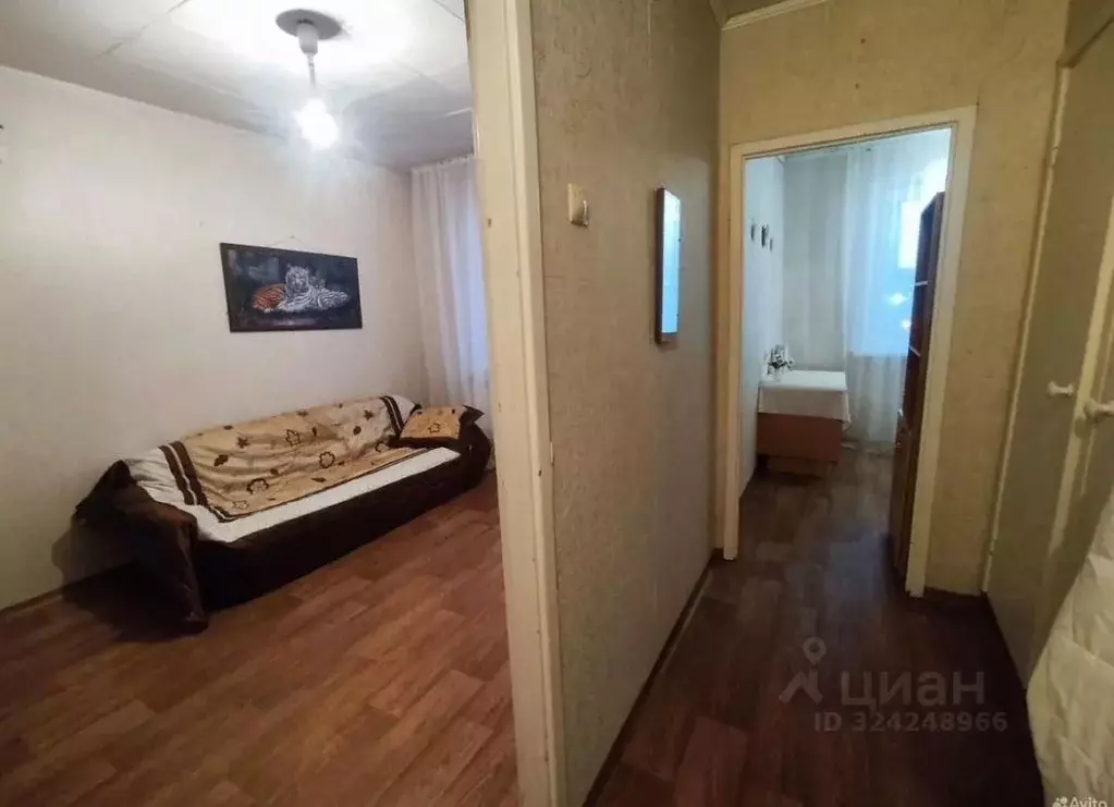 Студия Красноярский край, Красноярск ул. Карамзина, 18 (38.0 м) - Фото 1