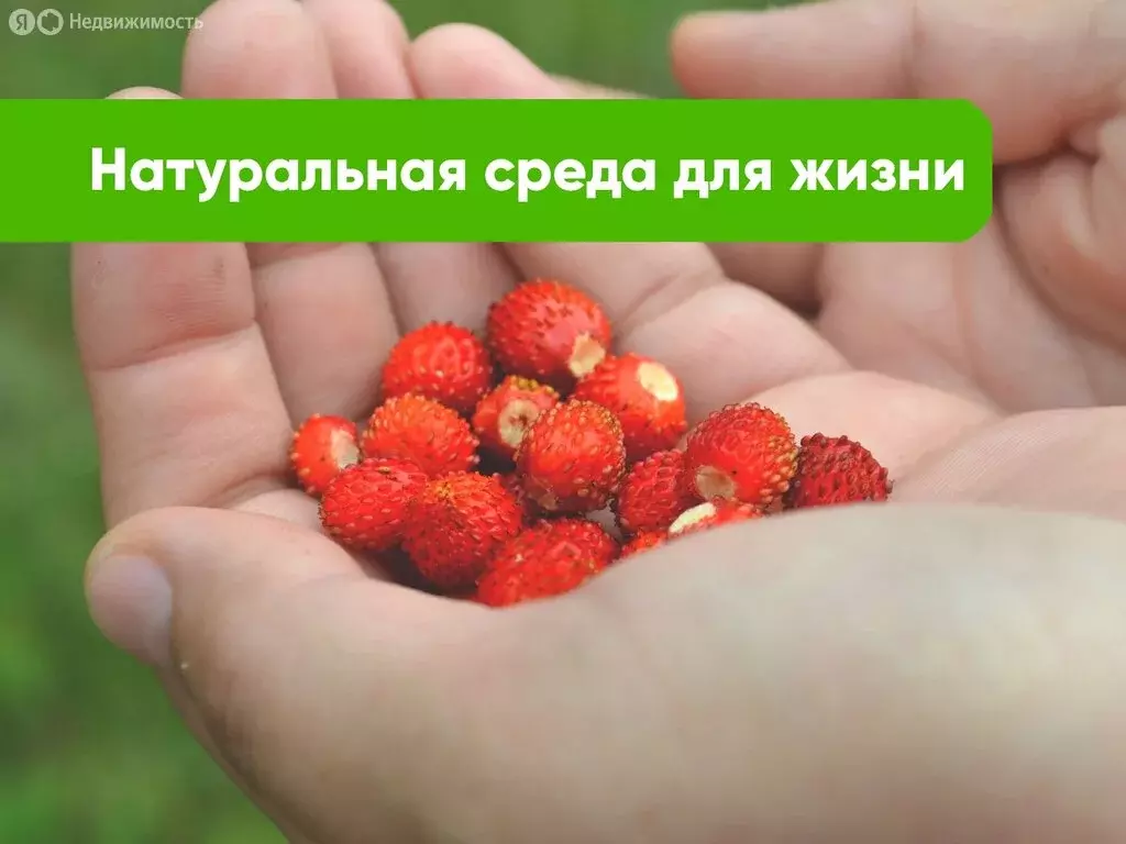 Участок в Московская область, Рузский муниципальный округ (9.05 м) - Фото 1