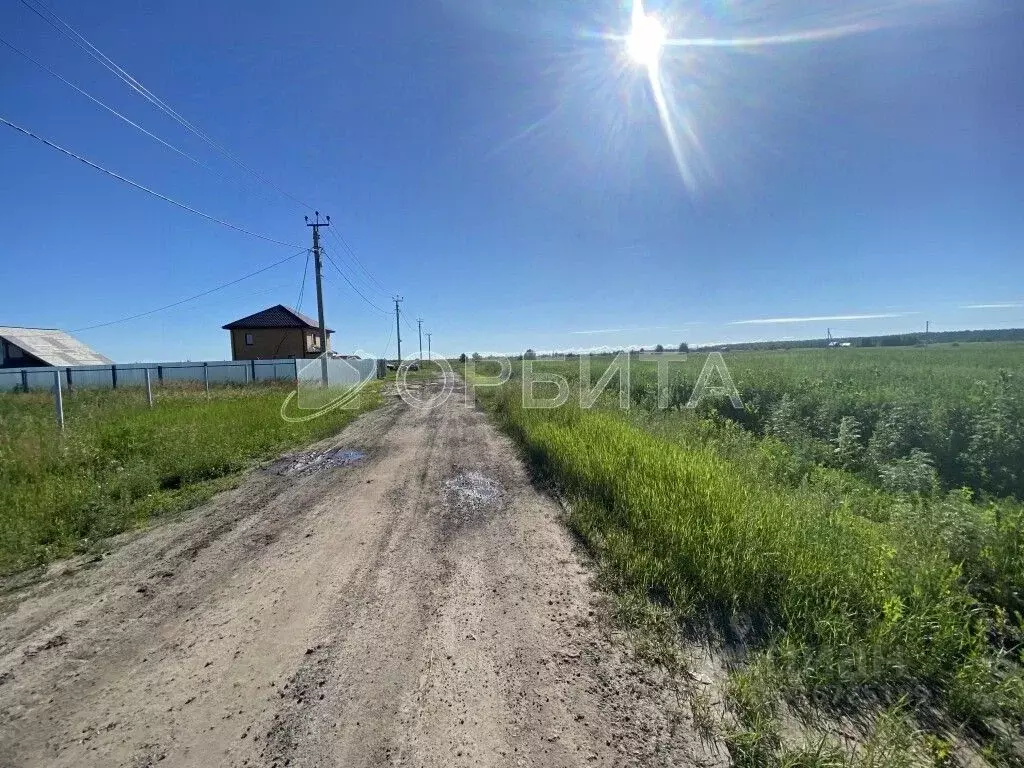 Участок в Тюменская область, Тюменский муниципальный округ, с. Борки  ... - Фото 2