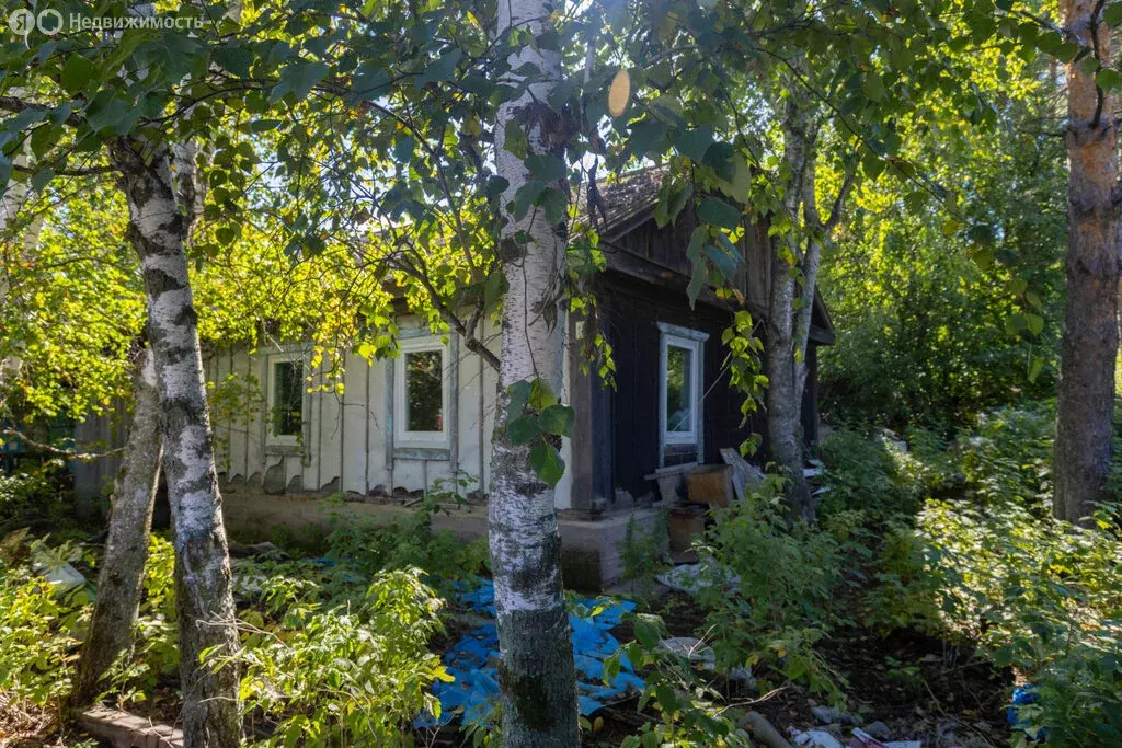 Дом в Новотроицкое, Свободная улица, 17 (64 м) - Фото 1