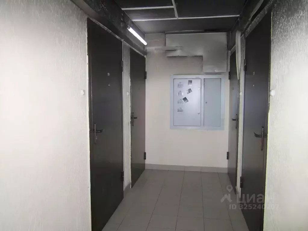 Студия Красноярский край, Красноярск Лесопарковая ул., 33 (19.8 м) - Фото 1