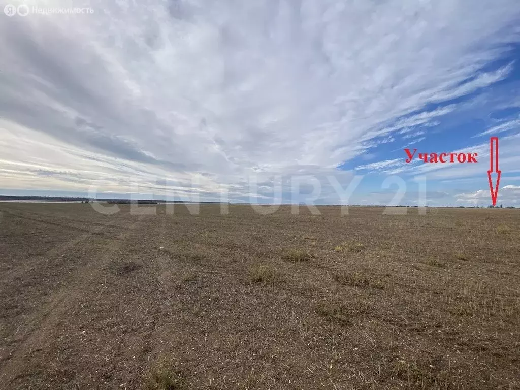 Участок в Сакский район, посёлок городского типа Новофёдоровка (25 м) - Фото 2