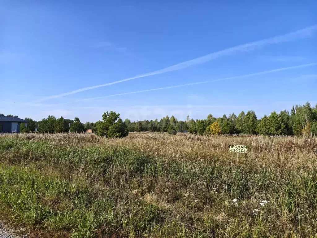 Участок в Тюменская область, Нижнетавдинский район, Березка СНТ  (12.0 ... - Фото 1