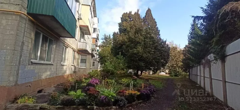 1-к кв. Тамбовская область, Тамбов ул. Бориса Васильева, 6 (30.9 м) - Фото 2