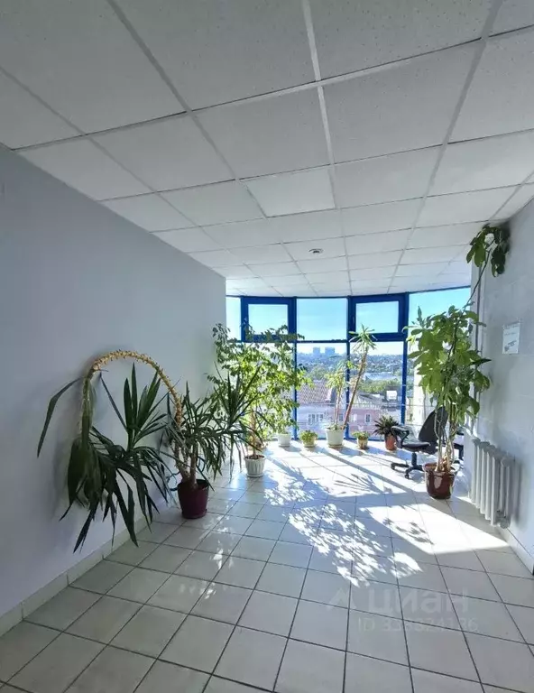 Офис в Курская область, Курск ул. Радищева, 5 (28 м) - Фото 1