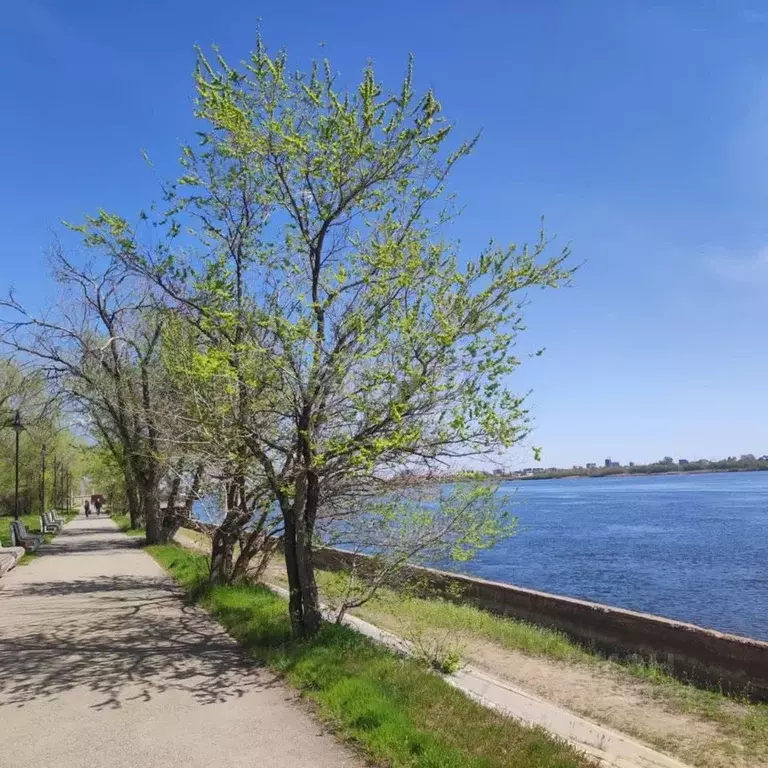 3-к кв. Астраханская область, Астрахань ул. Капитана Краснова, 13 ... - Фото 1