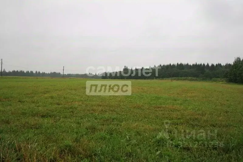 Участок в Забайкальский край, Читинский район, с. Елизаветино ... - Фото 0