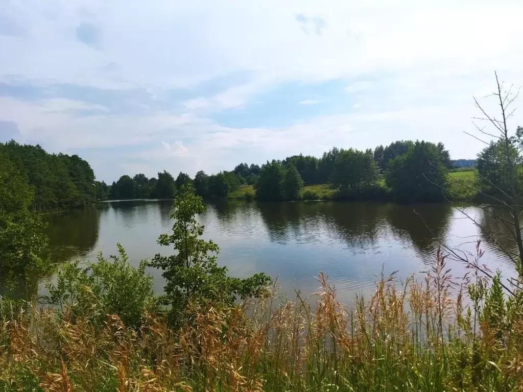 Участок в Московская область, Кашира городской округ, д. Тарасково  ... - Фото 1