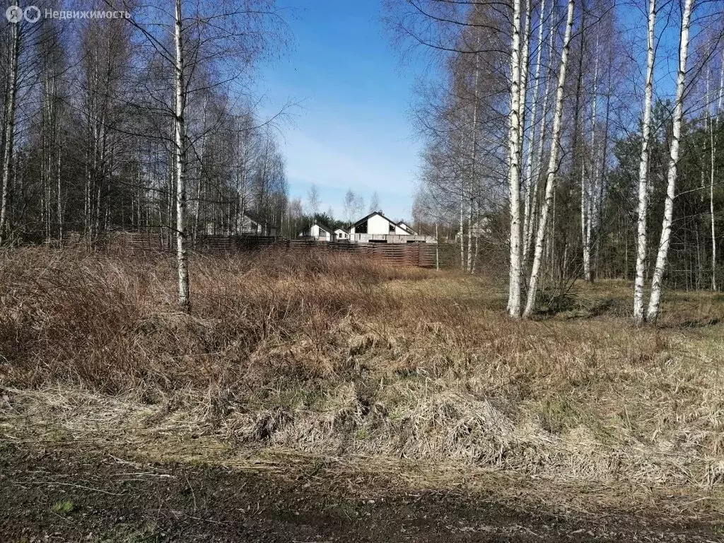 Участок в Рахьинское городское поселение (10 м) - Фото 0