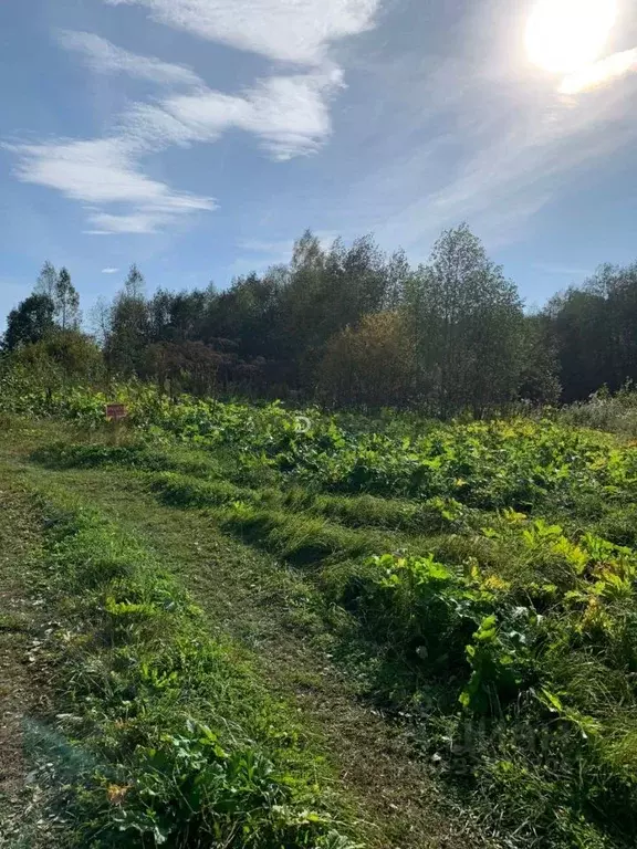Участок в Тверская область, Старицкий муниципальный округ, д. Заречье  ... - Фото 2