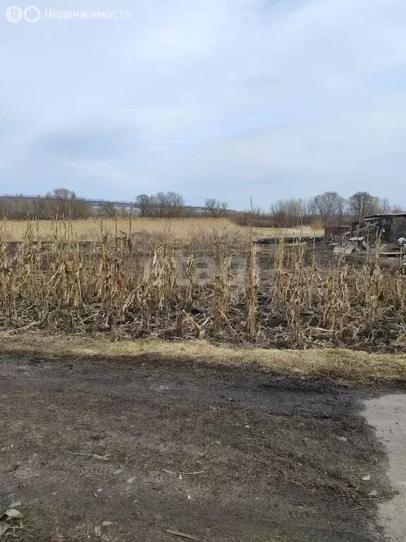 Участок в Белгородская область, Алексеевка (12.8 м) - Фото 1