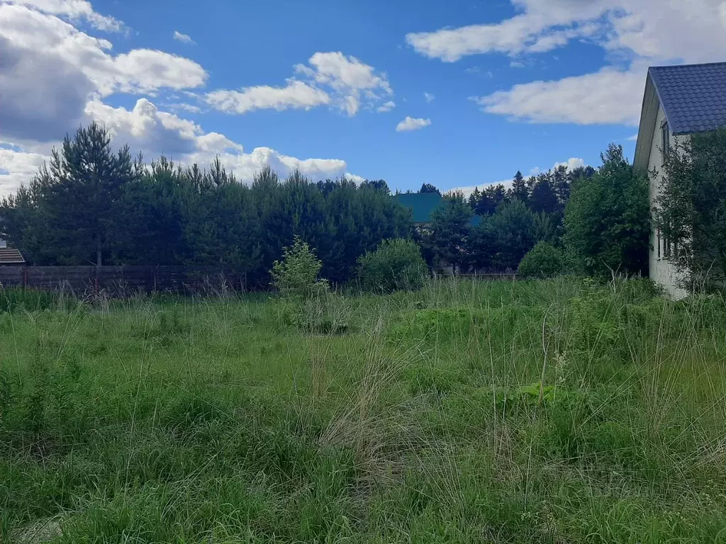 Участок в Пермский край, Пермский муниципальный округ, с. Усть-Качка ... - Фото 2