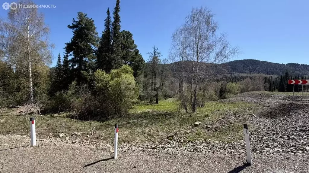 Участок в Чемальский район, Узнезинское сельское поселение, село ... - Фото 1