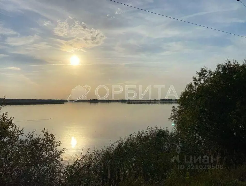 Участок в Тюменская область, Тюменский район, Архип садовое общество  ... - Фото 2