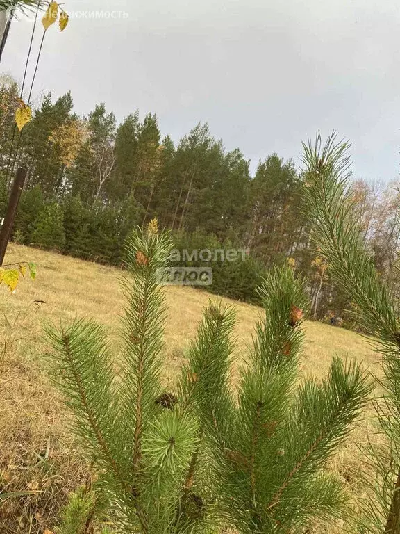 Участок в Нижнетавдинский район, село Тюнево (5 м) - Фото 0