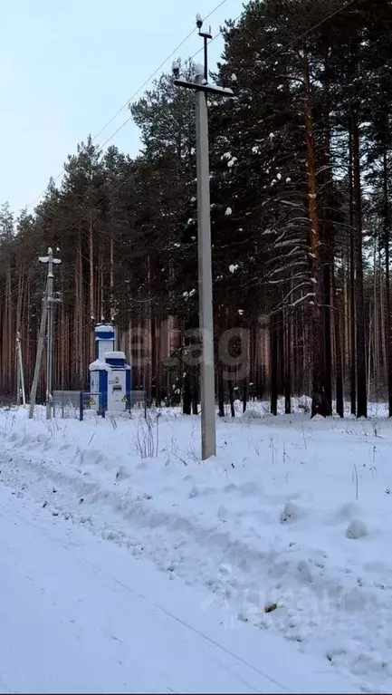 Участок в Тюменская область, Нижнетавдинский муниципальный округ, пос. ... - Фото 2