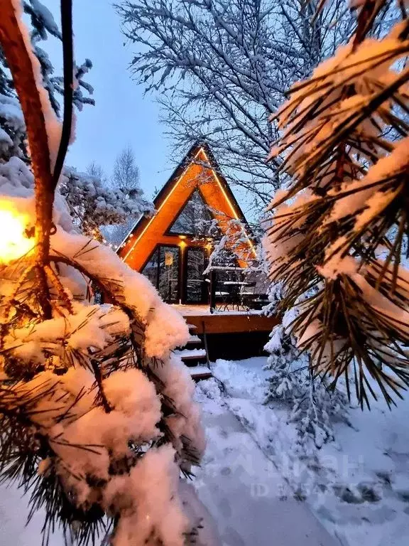 Дом в Московская область, Талдомский городской округ, д. Гусенки ул. ... - Фото 1
