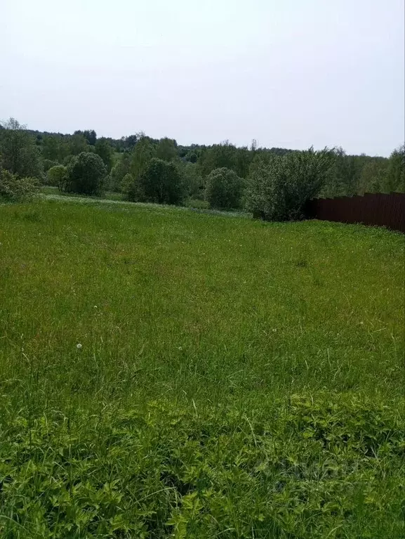 Участок в Московская область, Клин городской округ, с. Троицкое 19 ... - Фото 1