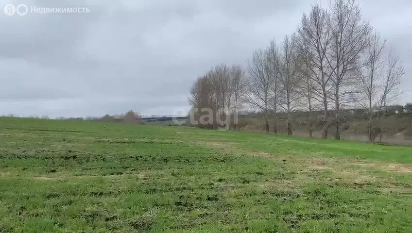 Участок в село Студёновка, Родниковая улица (490 м) - Фото 1