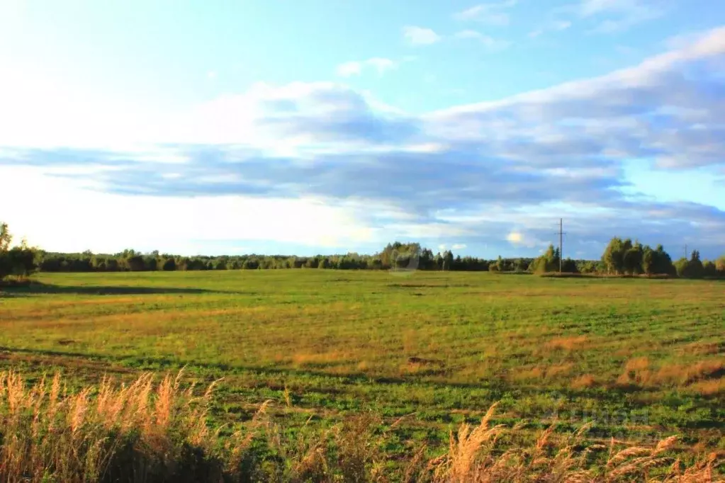 Участок в Самарская область, Ставропольский район, с. Ягодное, ... - Фото 2