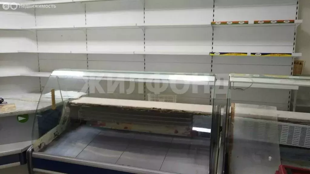 Торговая площадь (71 м) - Фото 2